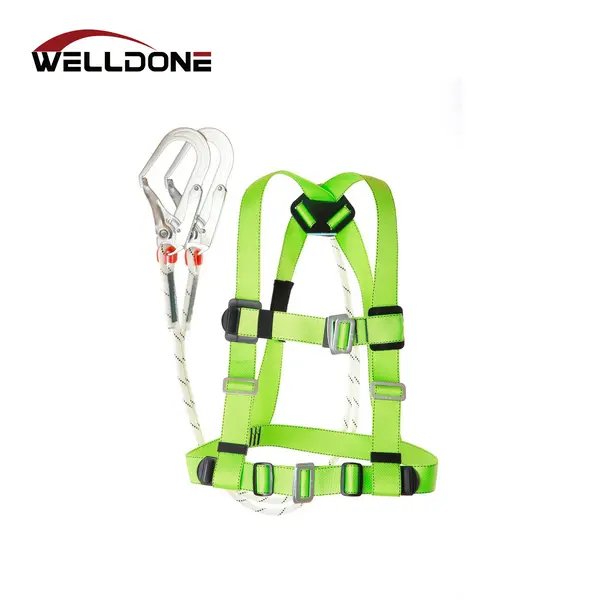 safety harness with lanyard