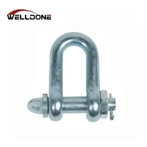 DIN82101 Type A / Type C Hot Dip Galvanized D Shackle