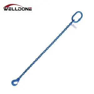 G100 Alloy Steel 1leg/2leg/3leg/4leg Lifting Chain Sling En818-4