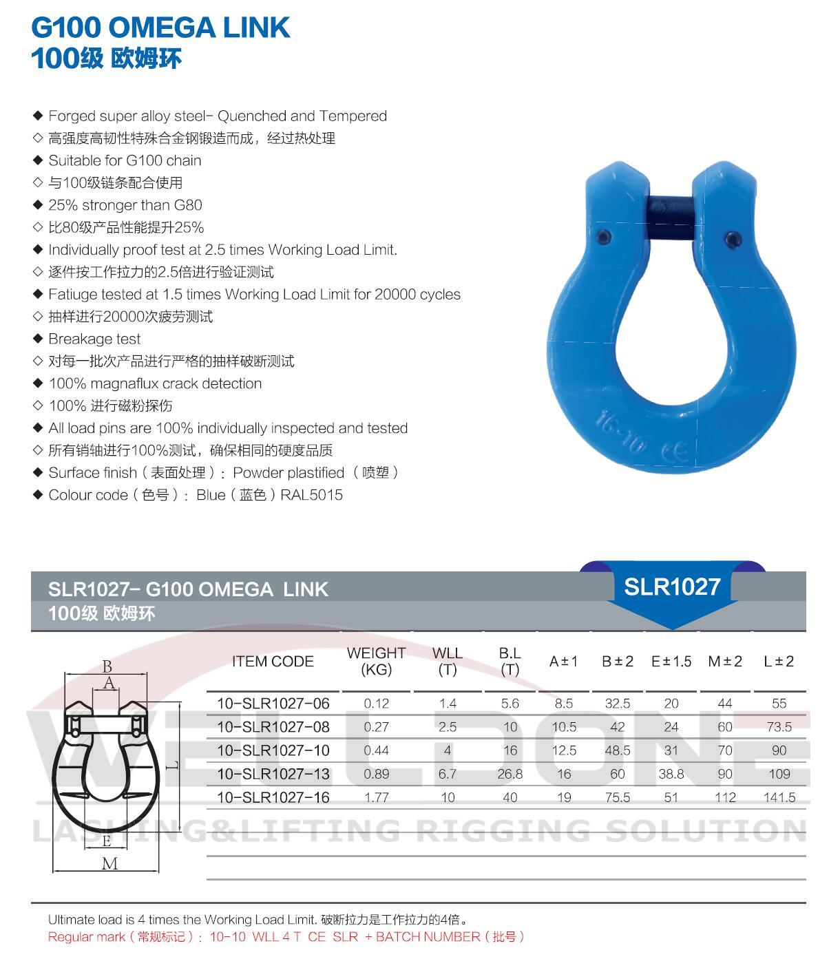 G100 omega link specification