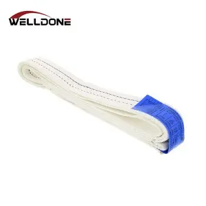 WLL 1-4T Polyester Endless Webbing Sling for Lifting