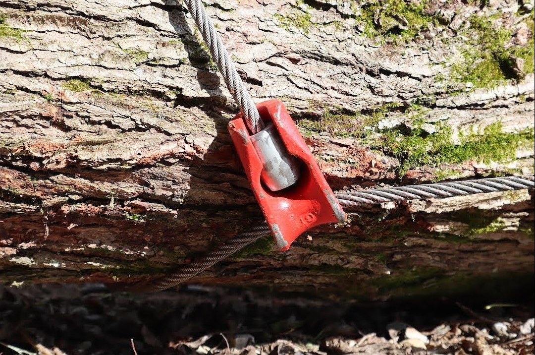 casting wire rope logging choker application