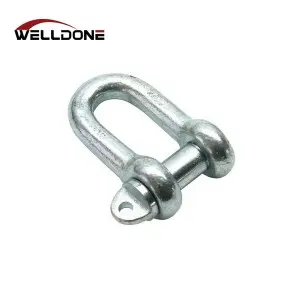 DIN82101 Type A / Type C Hot Dip Galvanized D Shackle