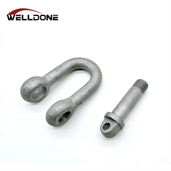 BS3032 D shackle