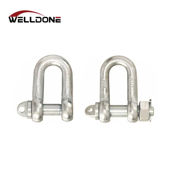 DIN82101 shackle